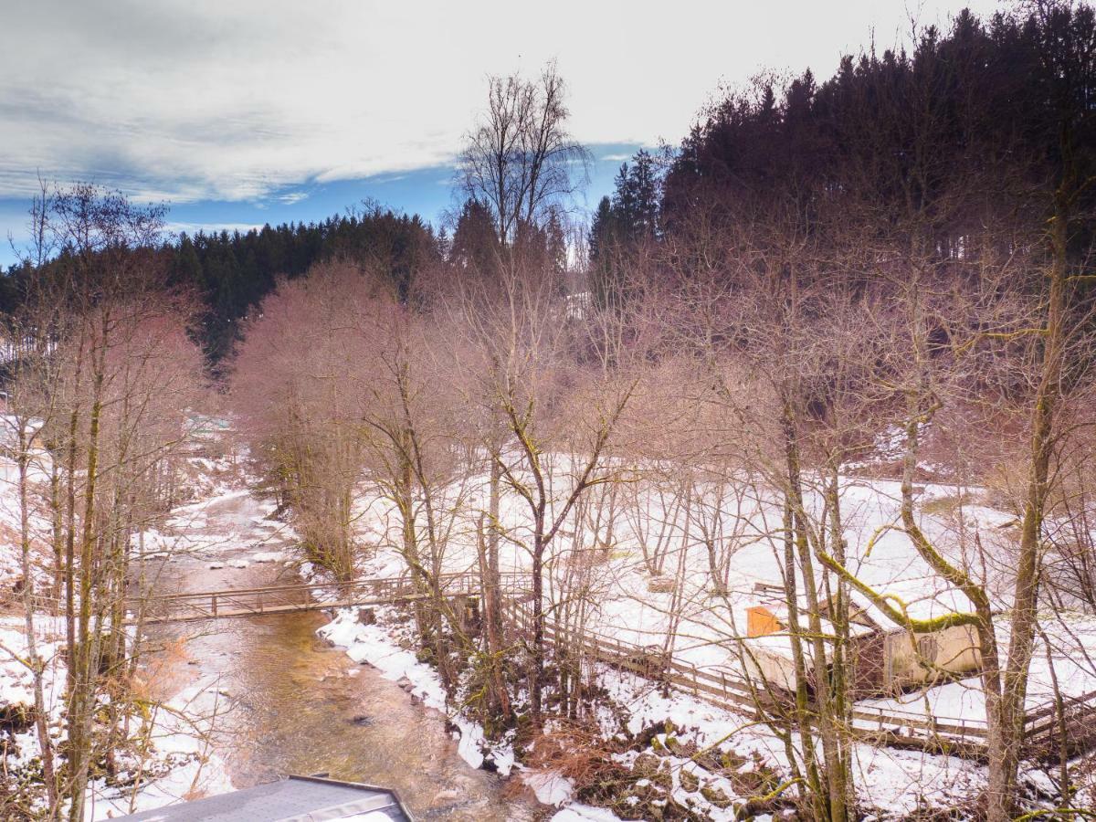 Appartement Haus Am Fluss à Baiersbronn Extérieur photo